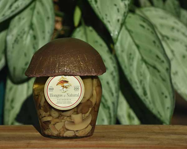 Hongos al Natural con Tapa Artesanal