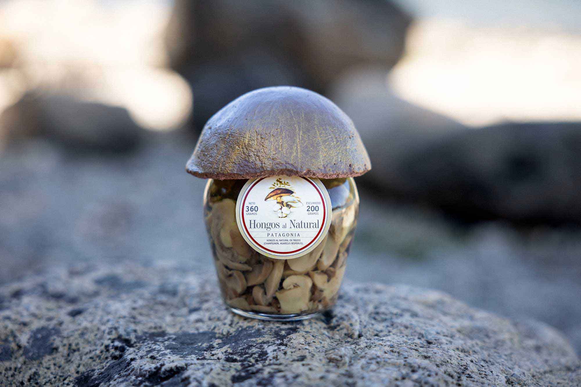 Hongos al Natural con Tapa Artesanal