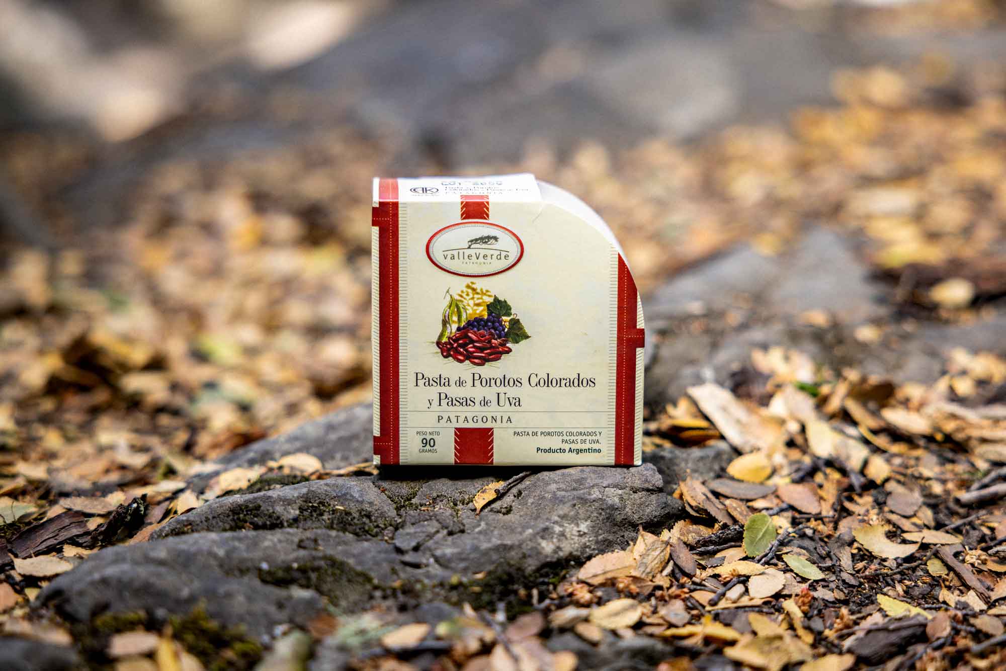 Pasta de Porotos colorados y Pasas de uvas