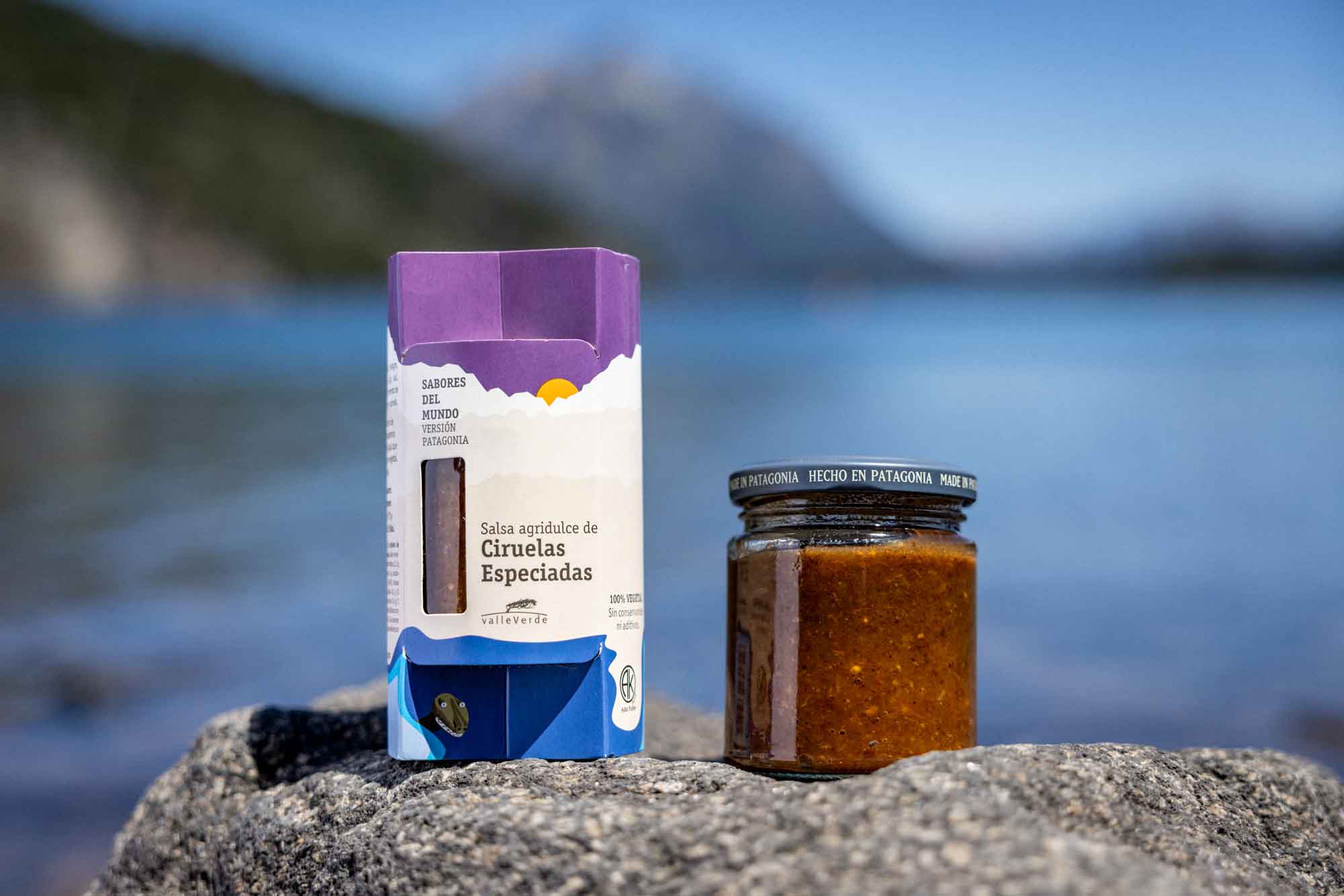 Salsa agridulce de Ciruelas especiadas